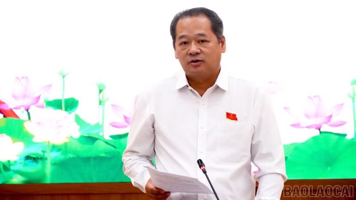 Đồng chí Lý Bình Minh - Phó Chủ tịch HĐND tỉnh phát biểu kết luận buổi giám sát.