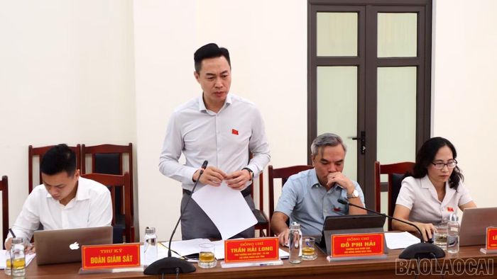 Thành viên đoàn giám sát phát biểu tại buổi giám sát.