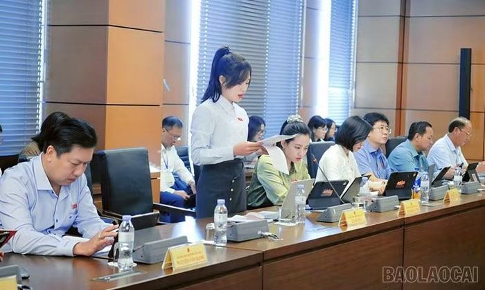 Đại biểu Lý Hương tham gia thảo luận tổ.