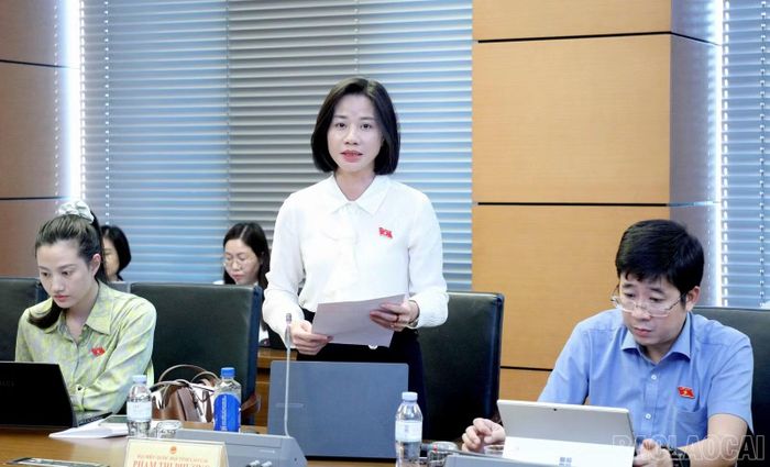 Đại biểu Phạm Thị Phương tham gia thảo luận tổ.