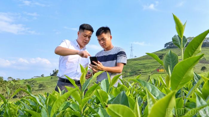  Mạng xã hội giúp anh Sơn lan tỏa câu chuyện du lịch của địa phương tới đông đảo công chúng. 