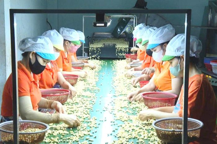 Ngành công thương Lâm Đồng đặt mục tiêu IIP cả năm tăng 15,58%
