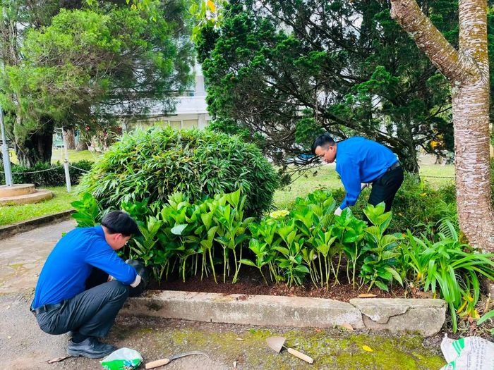 Các cơ quan, đơn vị trên địa bàn Đà Lạt trồng hoa, cây xanh hưởng ứng Festival Hoa Đà Lạt lần thứ XI năm 2026