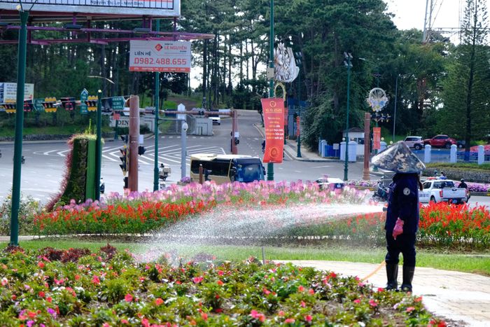 Đà Lạt điểm tô sắc hoa, sẵn sàng đón Festival Hoa lần thứ XI