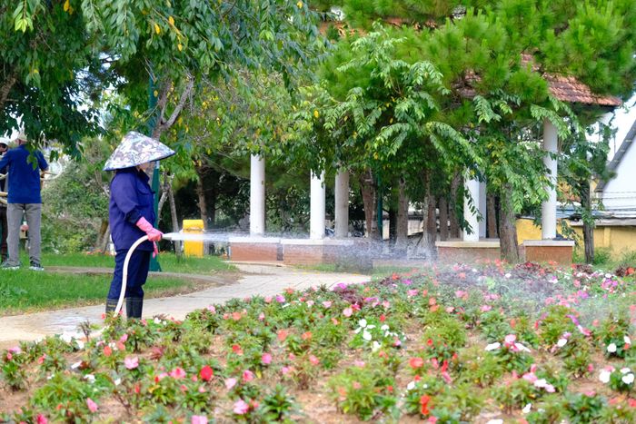 Công nhân Công ty Cổ phần Dịch vụ đô thị Đà Lạt khẩn trương thực hiện các phần việc trồng, chăm sóc hoa, chỉnh trang khuôn viên và xây dựng các tiểu cảnh phục vụ Festival