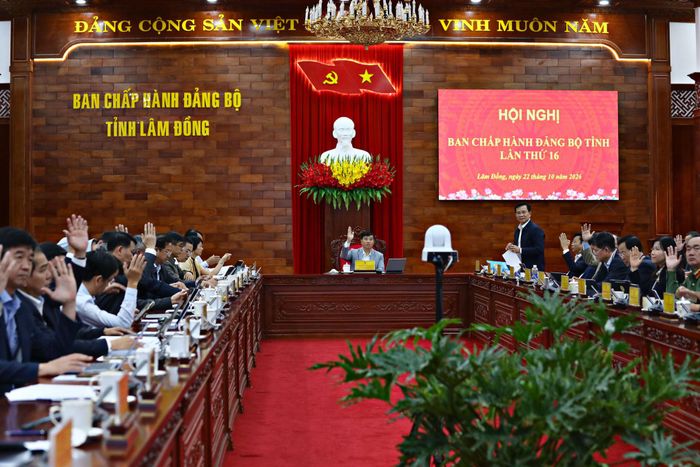 Các đại biểu biểu quyết thông qua các nội dung tại Hội nghị Ban Chấp hành Đảng bộ tỉnh lần thứ 16