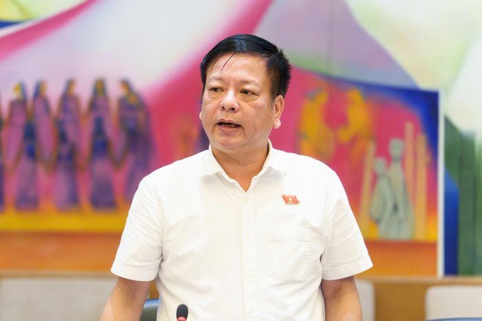 Đại biểu Nguyễn Trường Giang, Đoàn ĐBQH tỉnh Lâm Đồng nêu ý kiến tại phiên thảo luận tổ