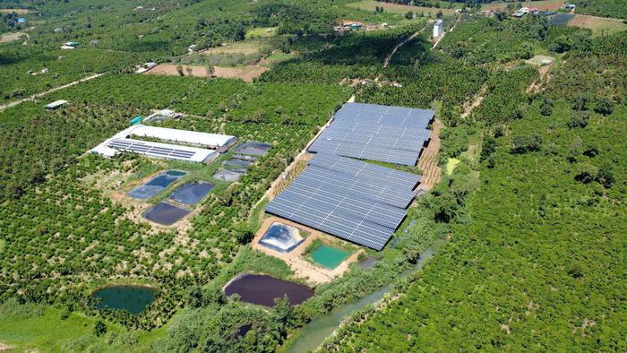 Hộ đầu tư điện mái nhà kết hợp chăn nuôi heo, gà tại Krông Nô
