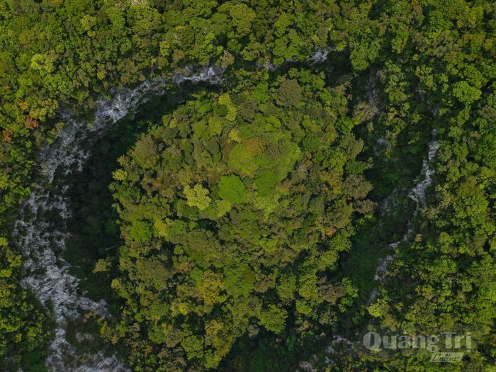 Hố sụt vừa mới phát hiện - Ảnh: Jungle Boss