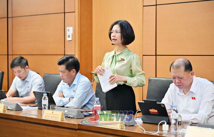 Đại biểu Hoàng Ngân Hoàn phát biểu.