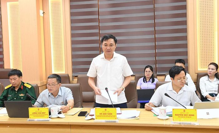 Đồng chí Phó Chủ tịch UBND tỉnh Đỗ Anh Tuấn phát biểu tại buổi làm việc.