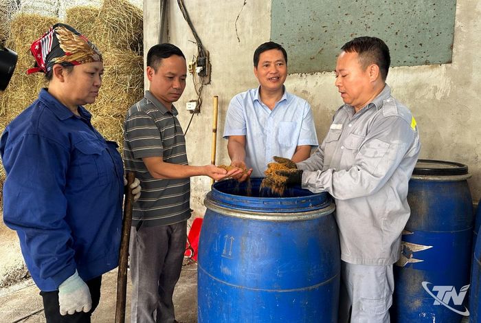 Cán bộ khuyến nông hướng dẫn anh Lê Đức Toàn, xóm Nguyễn Sơn, xã Phú Bình, kỹ thuật ngâm ủ thức ăn và chăn nuôi bò thịt theo hướng tuần hoàn, góp phần nâng cao hiệu quả sản xuất.