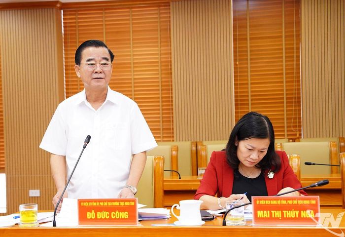 Đồng chí Phó Chủ tịch Thường trực HĐND tỉnh Đỗ Đức Công phát biểu tại Hội nghị.