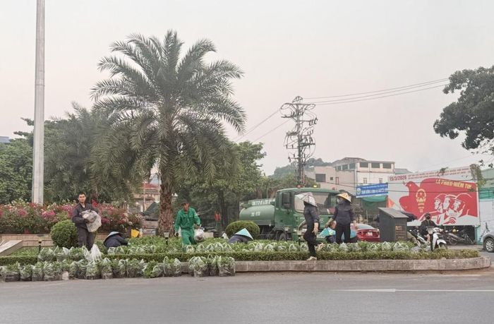 Các hoạt động chỉnh trang đô thị, chăm sóc cây xanh, trồng hoa trang trí đang gấp rút triển khai hoàn tất khâu cuối cùng (Ảnh: Cổng TTĐT Thái Nguyên)