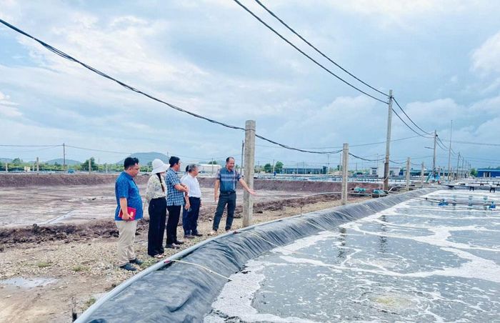 Nuôi trồng thủy sản tại xã Giang Thành, An Giang (ảnh: UBND xã Giang Thành)