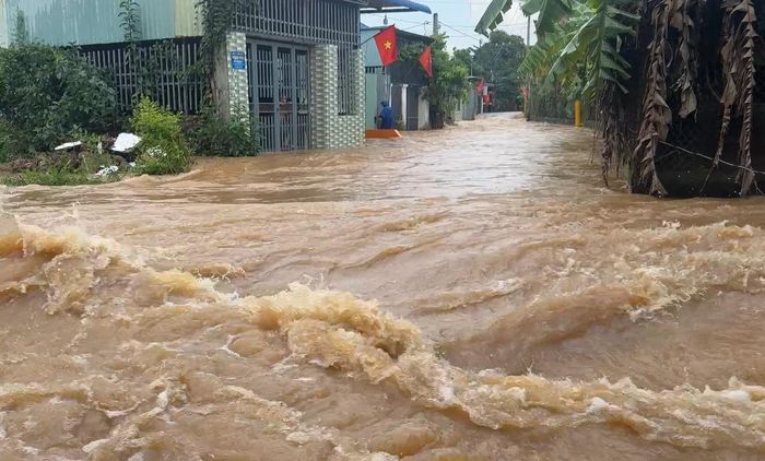 Nước chảy xiết trong khu dân cư ven sông Buông.
