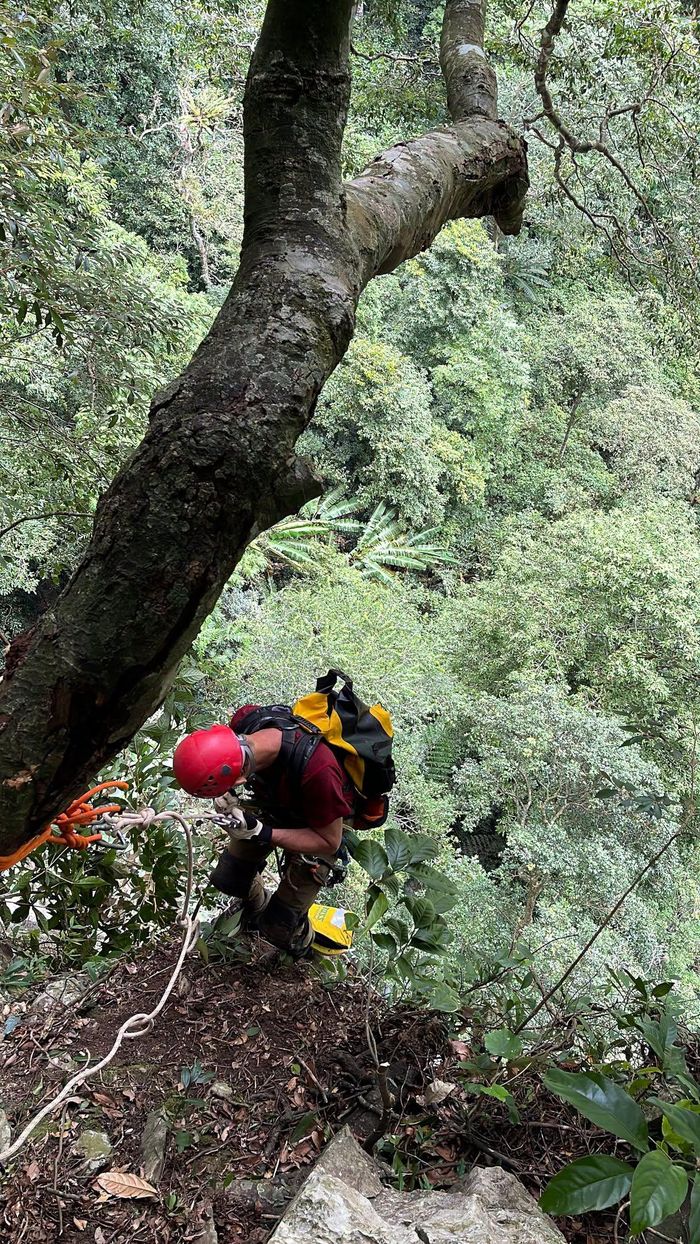 Dù đã tiếp cận đáy hố sụt, đoàn khảo sát chưa tìm thấy cửa hang có thể tiếp tục thám hiểm trong phạm vi khảo sát. Những dấu tích địa chất ghi nhận tại đây gợi mở khả năng còn các cấu trúc chưa được khám phá bên dưới khu vực. Tuy nhiên, khả năng này cần được kiểm chứng bằng các hoạt động nghiên cứu và khảo sát chuyên sâu hơn (Ảnh: Jungle Boss).
