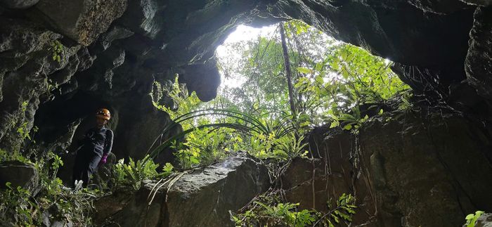 Đường khảo sát đến hố sụt gặp nhiều trở ngại. Ảnh: Jungle Boss.
