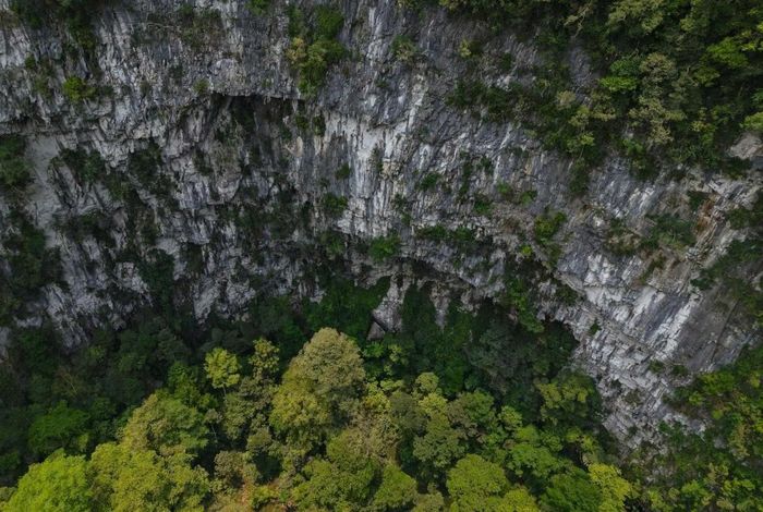 Vách hố sụt vừa mới phát hiện. Ảnh: Jungle Boss.
