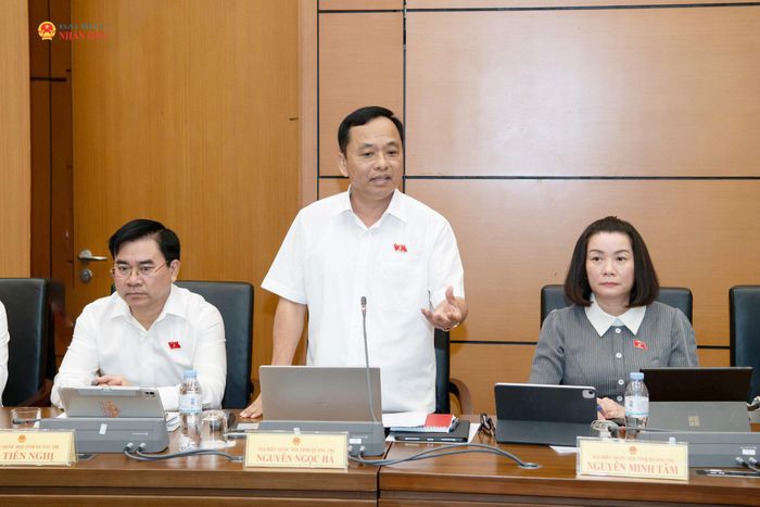 ĐBQH Nguyễn Ngọc Hà (Quảng Trị) phát biểu. Ảnh: Lâm Hiển