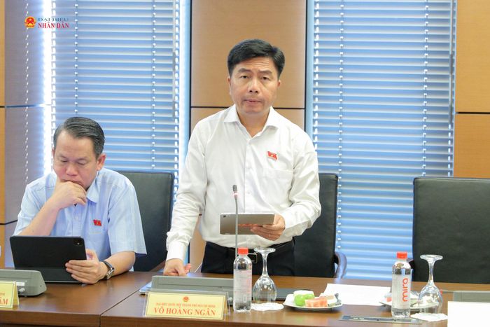 ĐBQH Võ Hoàng Ngân (TP. Hồ Chí Minh) phát biểu. Ảnh Hồ Long