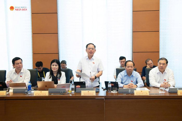 ĐBQH Trần Đình Gia (tỉnh Hà Tĩnh) phát biểu