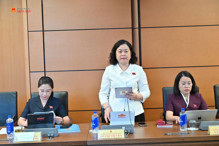 ĐBQH Lò Thị Việt Hà (Tuyên Quang) phát biểu