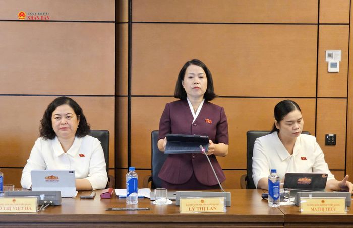 ĐBQH Lý Thị Lan (Tuyên Quang) phát biểu