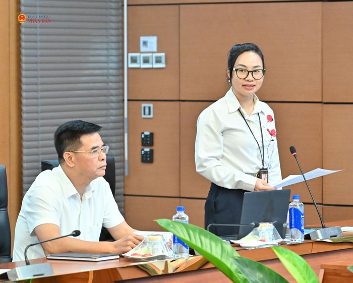 Vụ Trưởng Vụ Tổng hợp Lương Thị Thu Hà phát biểu