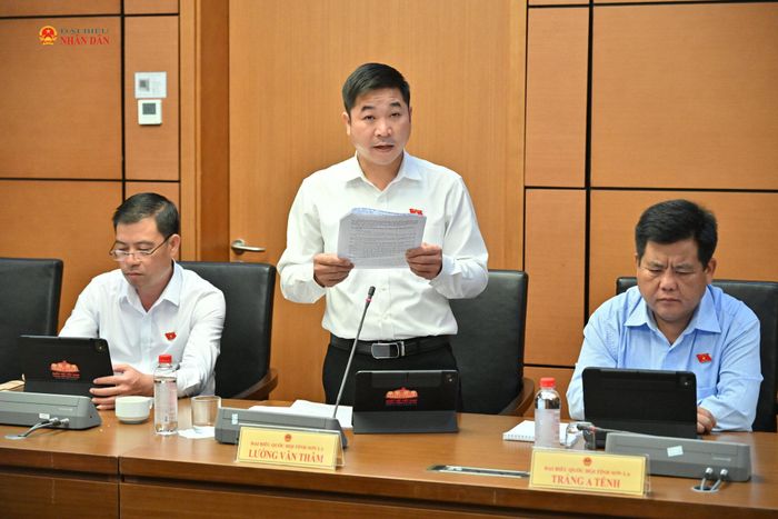 ĐBQH Lường Văn Thâm (Sơn La) phát biểu. Ảnh: Quang Khánh