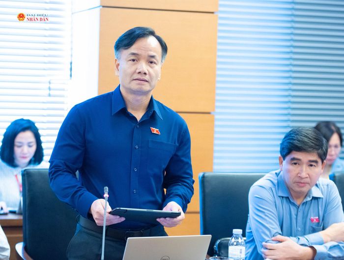 ĐBQH Trần Hoài Nam (Cà Mau) phát biểu. Ảnh: Xuân Quý