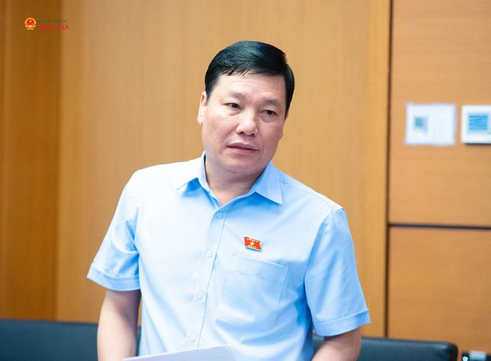 ĐBQH Phạm Hùng Hưng (Phú Thọ) phát biểu. Ảnh: Xuân Quý