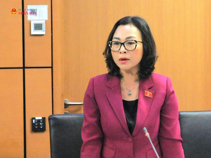 ĐBQH Tống Thị Hạnh (Vĩnh Long) phát biểu