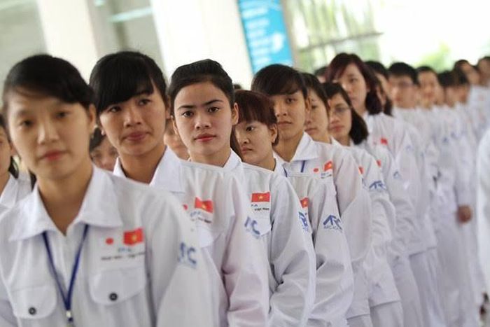 Từ năm 2020 đến ngày 30/6, Quỹ Hỗ trợ việc làm ngoài nước đã tiếp nhận tổng cộng 641 hồ sơ đề nghị hỗ trợ. Ảnh minh họa: ITN