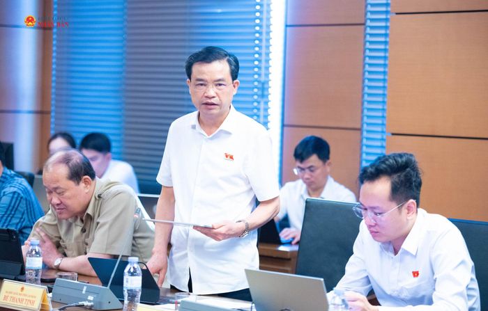 Trưởng đoàn ĐBQH tỉnh Cao Bằng Bế Thanh Tịnh phát biểu. Ảnh: Xuân Quý