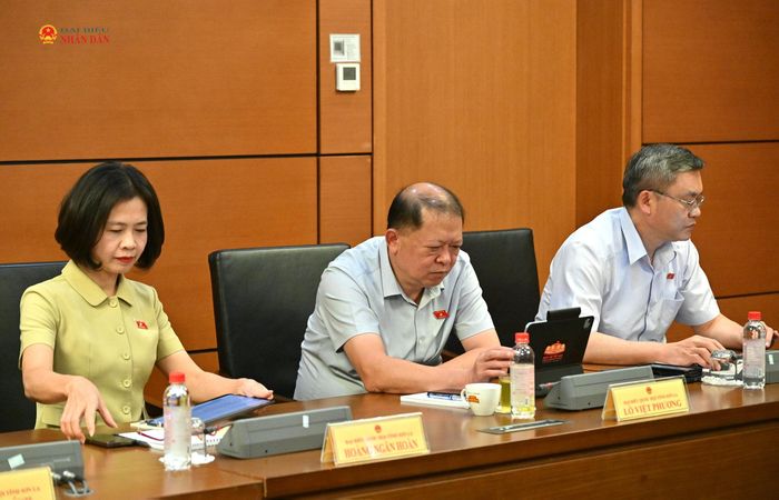 Các đại biểu tham dự thảo luận tổ. Ảnh: Quang Khánh