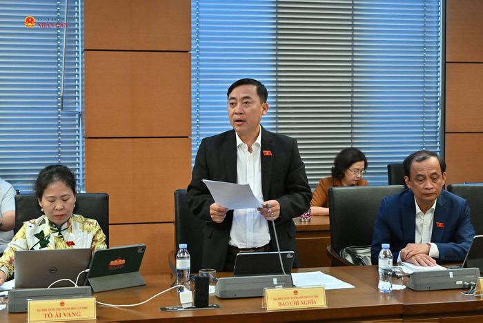 ĐBQH Đào Chí Nghĩa (Cần Thơ) phát biểu. Ảnh: Quang Khánh