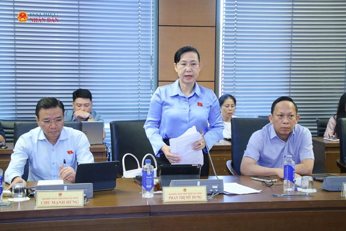 ĐBQH Phan Thị Mỹ Dung (Tây Ninh) phát biểu. Ảnh: Đắc Trường
