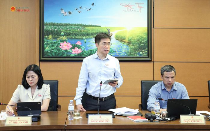 ĐBQH Hoàng Minh Hiếu (Nghệ An) phát biểu