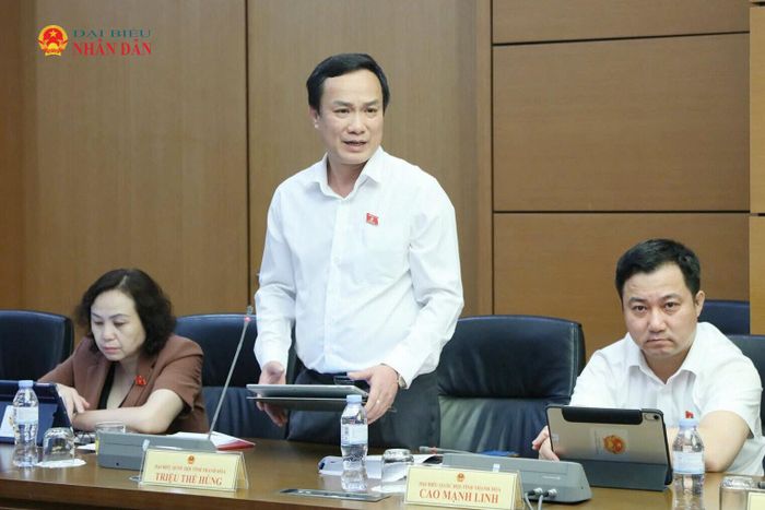 ĐBQH Triệu Thế Hùng (Thanh Hóa) phát biểu thảo luận tổ. Ảnh: An Nhiên