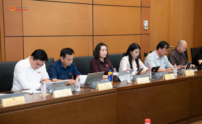 Các ĐBQH tham dự phiên họp tổ