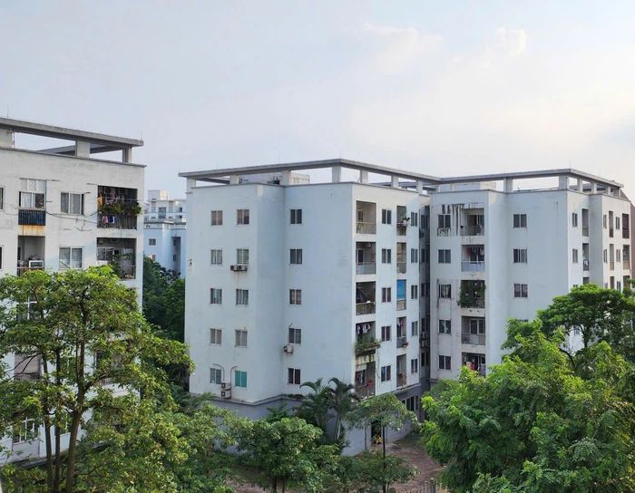 Cần có cơ chế ưu đãi khuyến khích phát triển nhà ở cho thuê với giá phù hợp đáp ứng nhu cầu nơi ở của Nhân dân