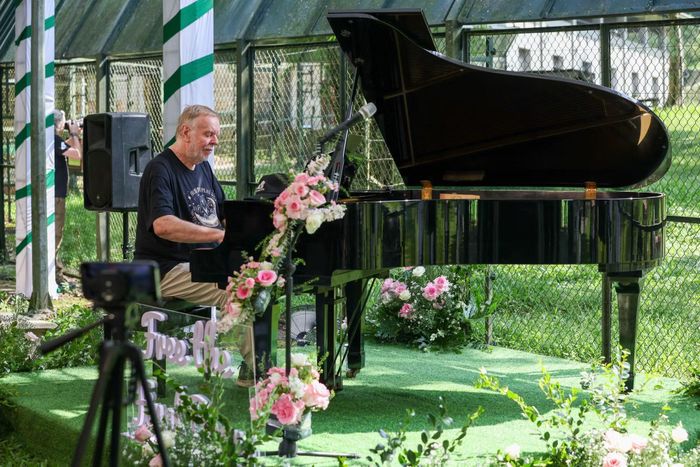  Nghệ sĩ Rick Wakeman CBE biểu diễn piano tại khu bán tự nhiên - tổ ấm của những con gấu tật nguyền 