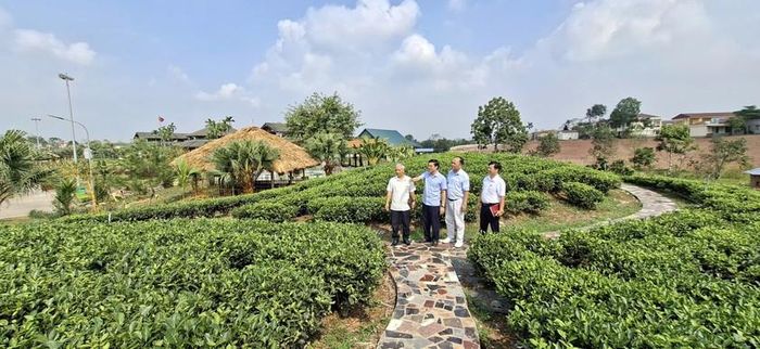 Lãnh đạo xã Tân Cương giới thiệu về công tác chuẩn bị Festival Trà Quốc tế - Thái Nguyên 2026 tại địa phương.