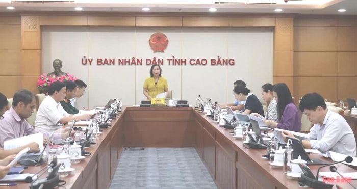 Đồng chí Hà Nhật Lệ, Phó Chủ tịch UBND tỉnh kết luận cuộc họp.