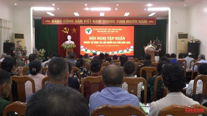 Các đại biểu dự hội nghị tập huấn.