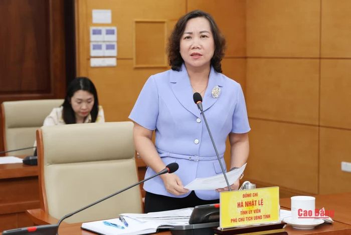 Phó Chủ tịch UBND tỉnh Hà Nhật Lệ phát biểu ý kiến tại cuộc họp.