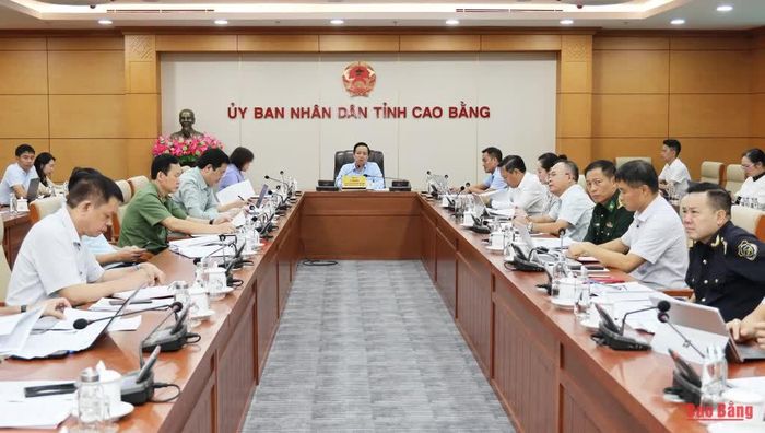 Các đại biểu dự cuộc họp.