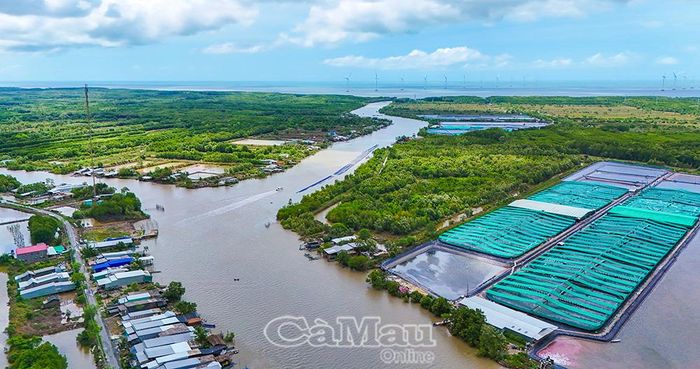 Công trình điện gió tại cửa biển Hóc Năng, xã Tân Ân, tỉnh Cà Mau.