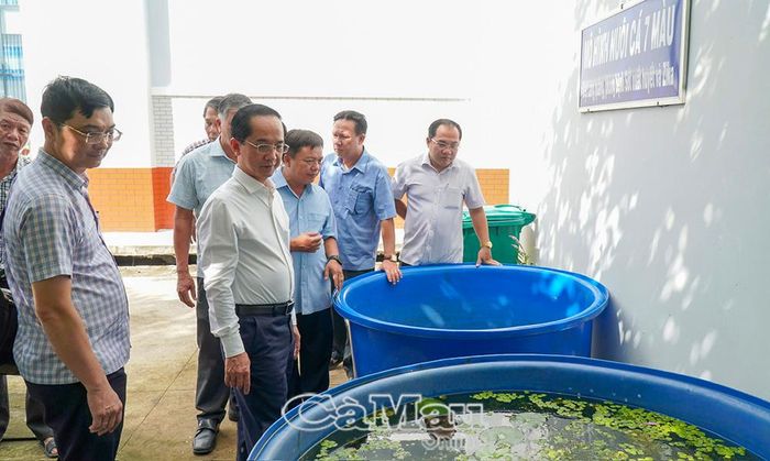 Đồng chí Hồ Thanh Thuỷ, Phó Bí thư Tỉnh uỷ, Chủ tịch Uỷ ban Mặt trận Tổ quốc Việt Nam tỉnh Cà Mau (thứ hai từ trái sang), cùng đoàn công tác kiểm tra mô hình nuôi cá bảy màu tại Trạm Y tế xã Năm Căn.